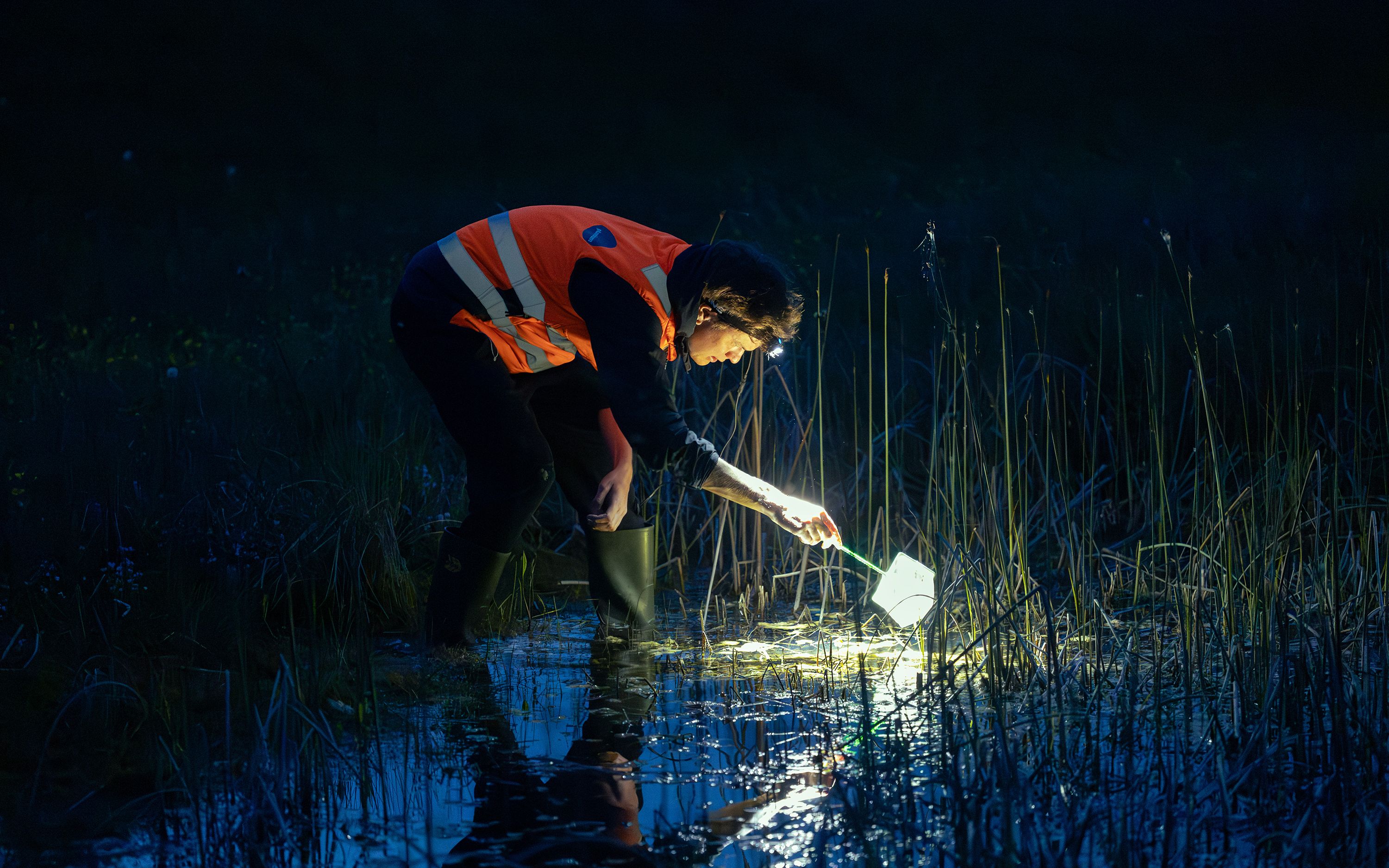 Monitoring bei Nacht