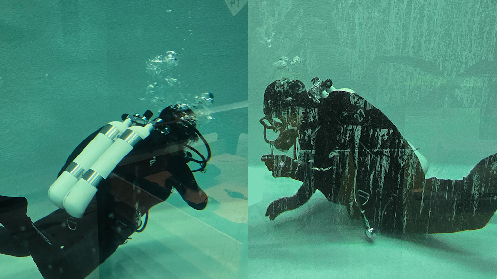 Les apprenties pendant l'entraînement à la plongée