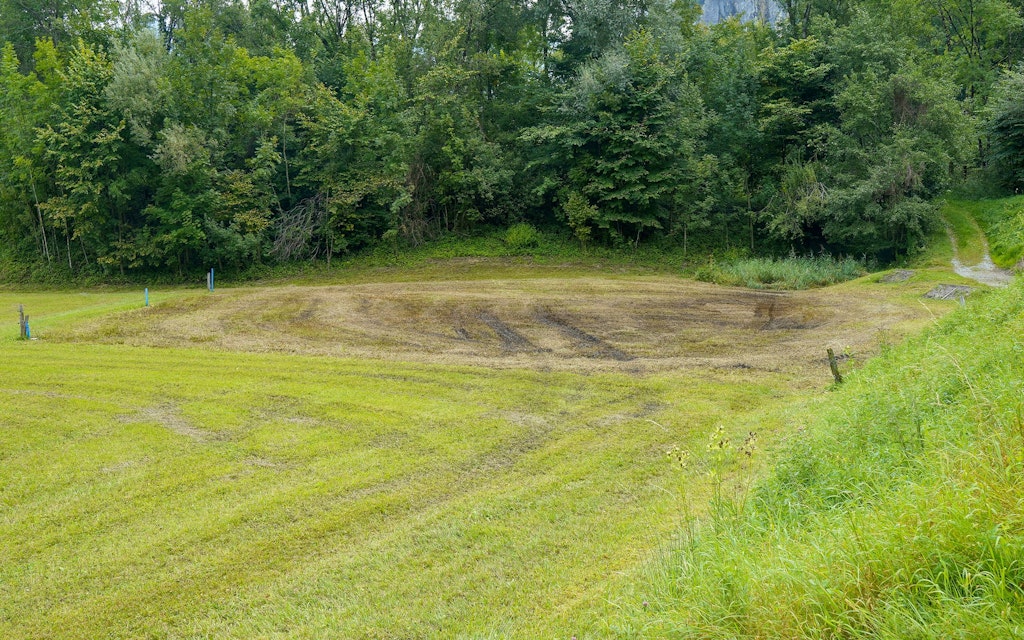 Die gemähte Feuchtwiese mit temporären Pfützen ist ideal für die Gelbbauchunke. Denn dort trifft der Unken-Nachwuchs kaum auf Fressfeinde wie zum Beispiel Libellenlarven.