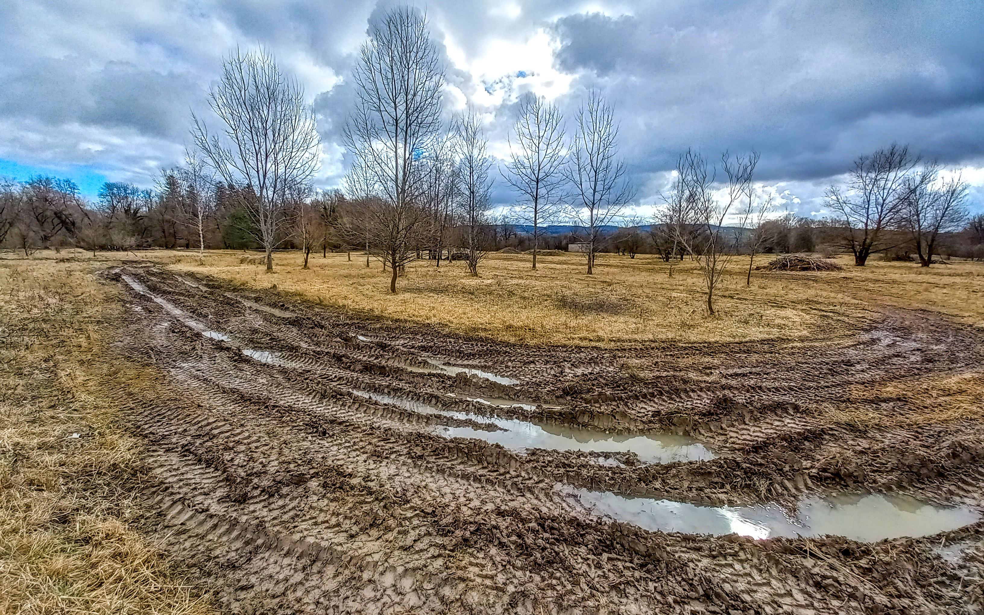 Kontrollen im Sommer werden verdeutlichen, ob die Unken die neuen Kleinstgewässer zum Laichen nutzen werden. Die Chancen stehen gut.
