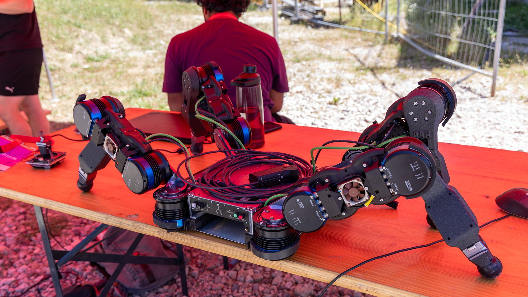 Magnecko’s new robot model lies on a table in the shade under a tent. 