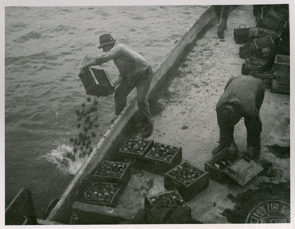 A person dumps a box with military ammunition in Lake Thun
