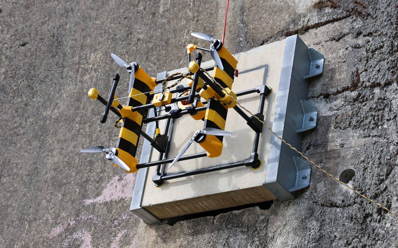 Aithon has attached itself to a wall with suction pads in order to drill. 