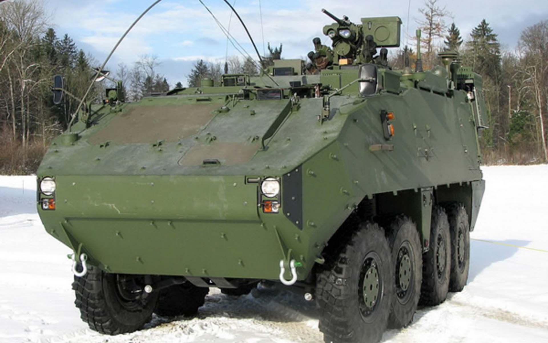 Piranha sapper in front of a forest in winter