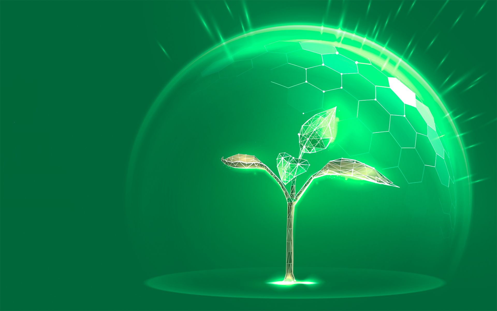 A plant is surrounded by a virtual protective shield.