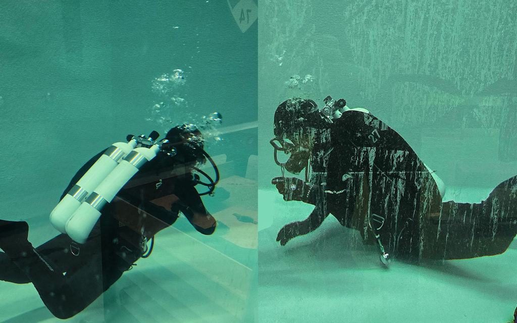 The apprentices during diving training