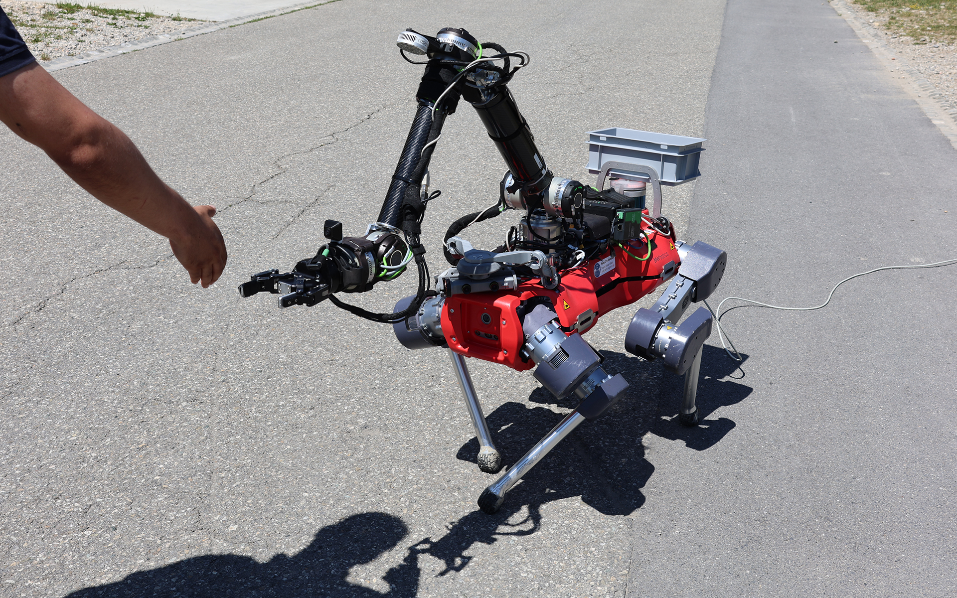 The ANYmal Alma can grasp objects with its arm