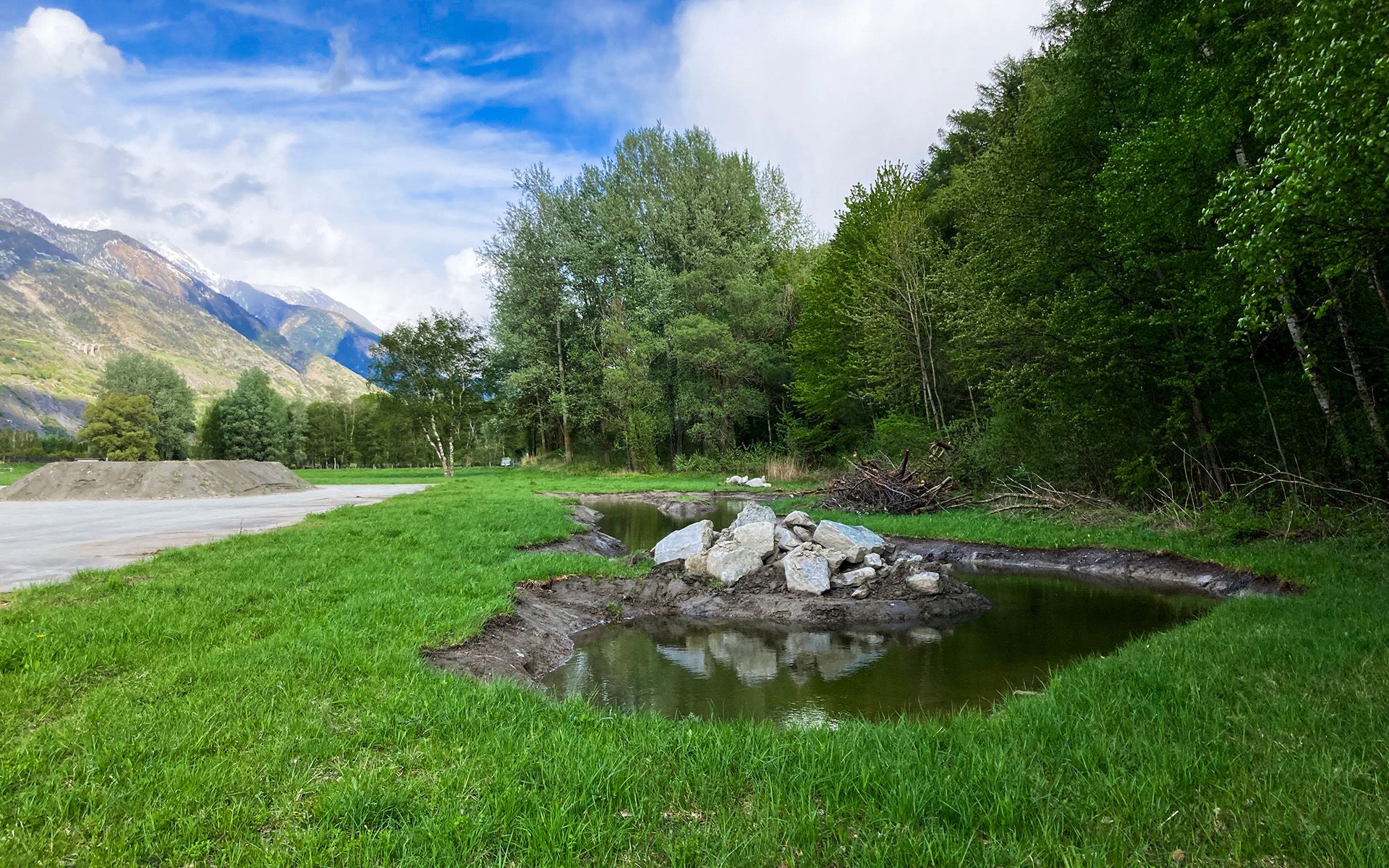 View of the largest newly created pond as well as branch piles and cairns. 