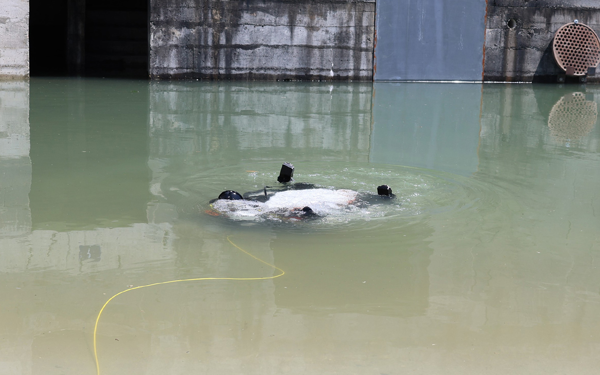 The diving robot in action