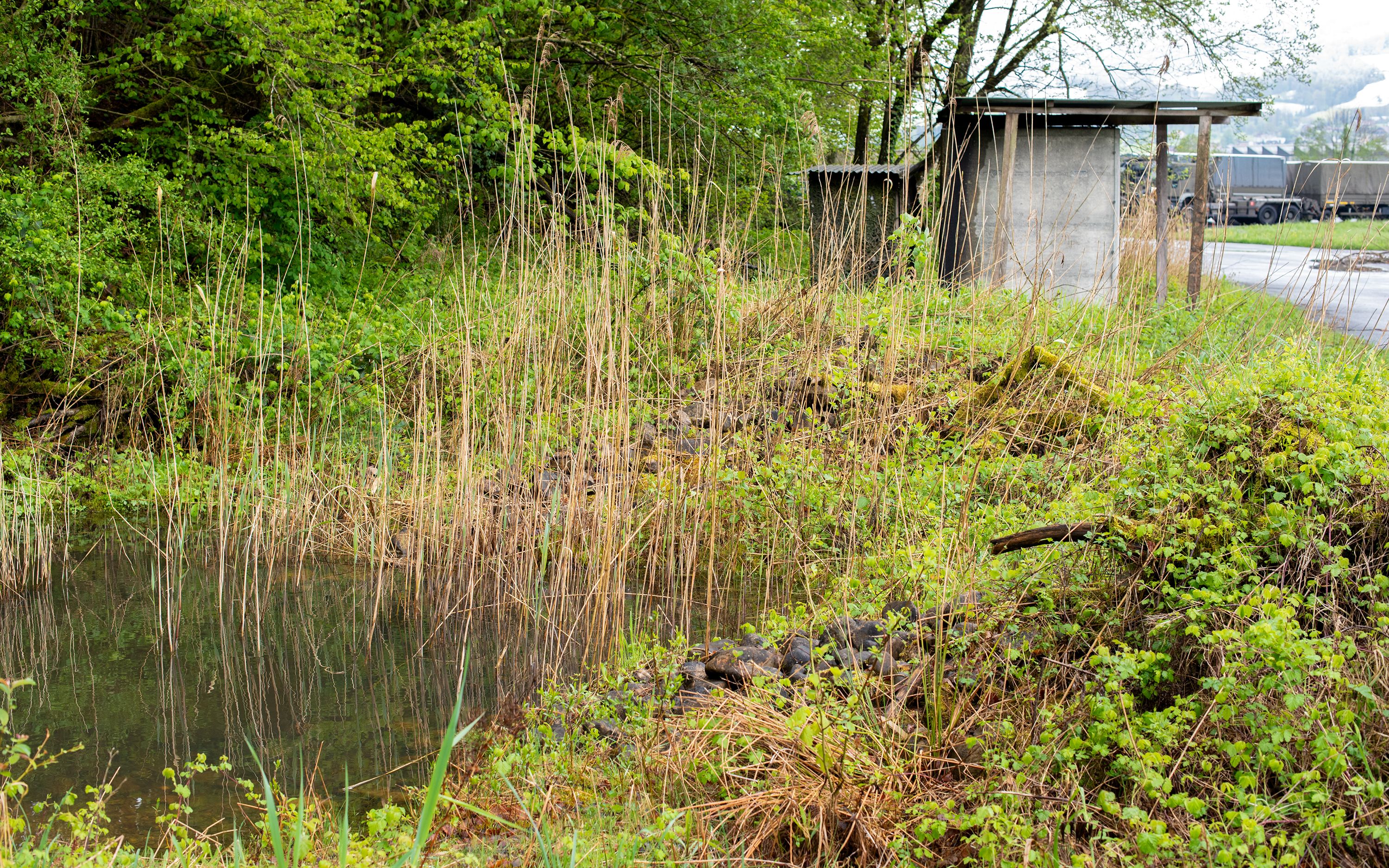 Moor with increasing sedimentation.