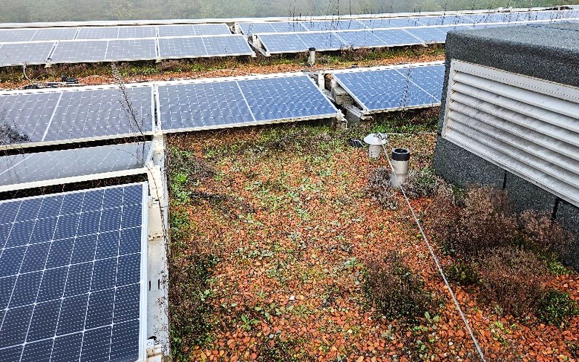 Une planification prévoyante et des mesures d’entretien annuelles valent la peine, surtout durant les premières années.