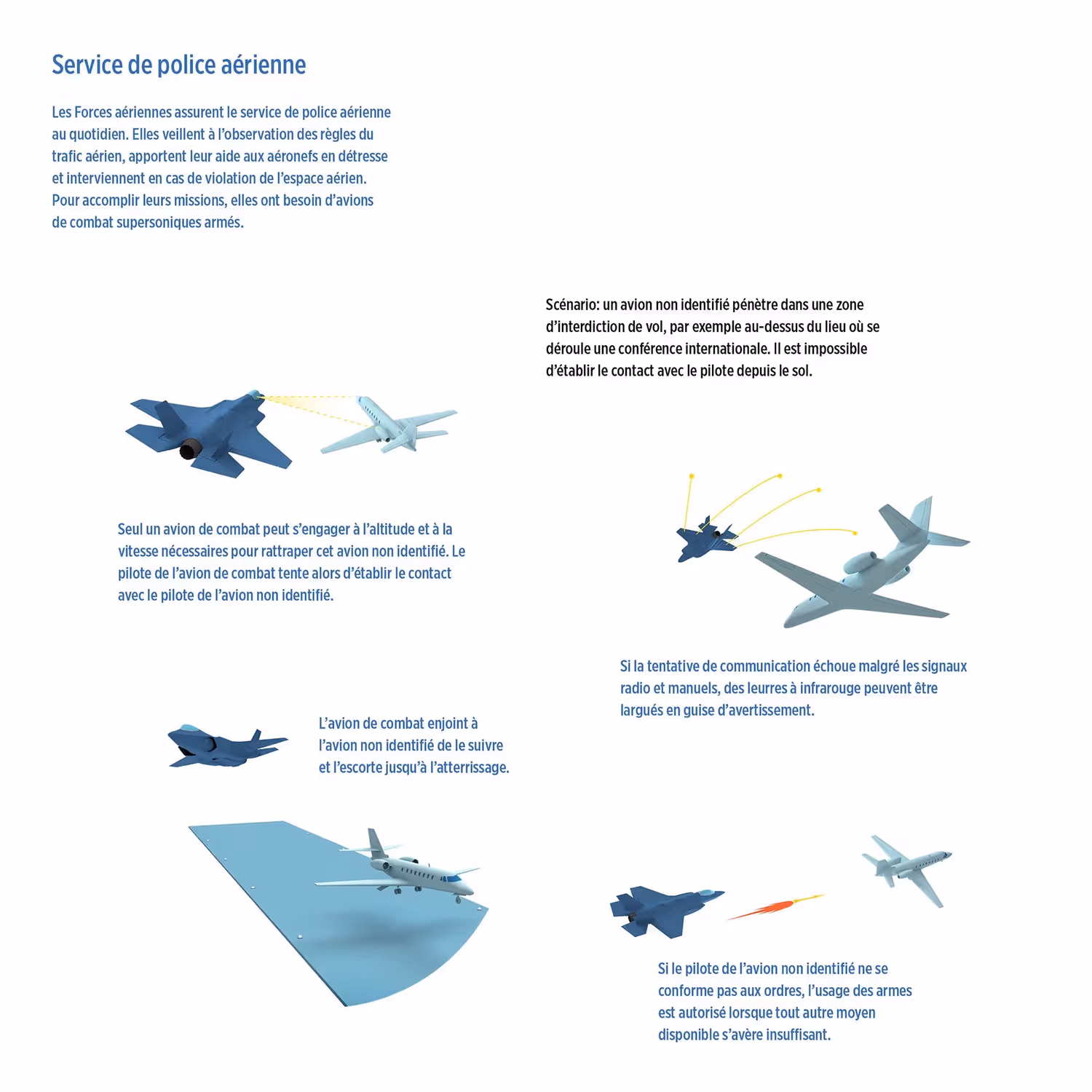 Service de police aérienne