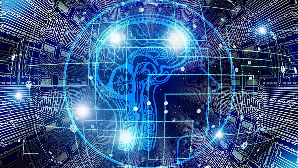 Image d'un cyber-cerveau