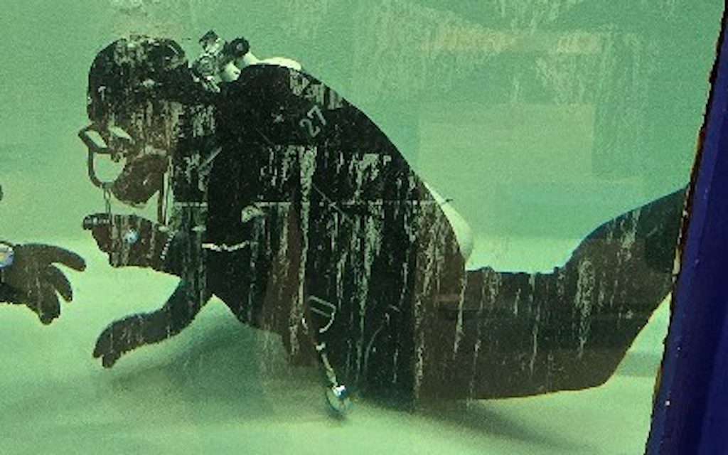 Esercizio di immersione in azione.