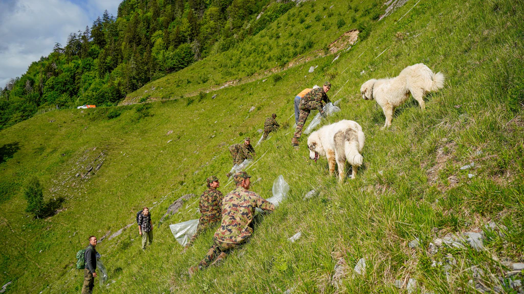 La rimozione selettiva delle piante infiammabili dei prati, come il rovo, contrasta il rischio di incendi gravi sul versante secco del bersaglio Calanda.